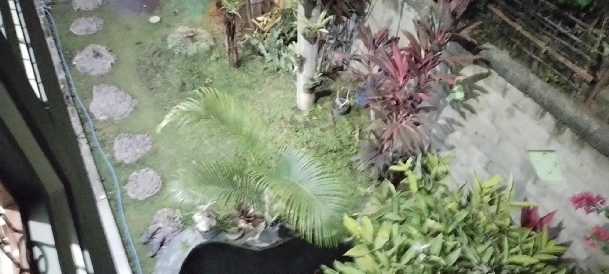 New Kami Homestay Banyuwangi  Exteriör bild